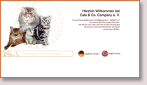 Cats & Co. Company e.V.
